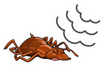 Asl Disinfestazione Cimici Da Letto